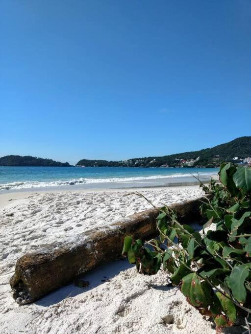 Apto Vista Mar -250Mts Da Praia Bombinhas Eksteriør billede